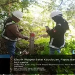 Kemenhut siapkan langkah hukum terkait aktivitas tambang di Raja Ampat
