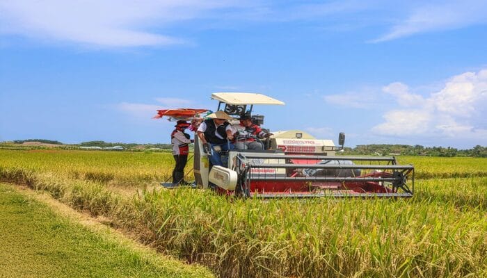 Serapan gabah dan beras Gorontalo oleh Bulog mulai mencapai target