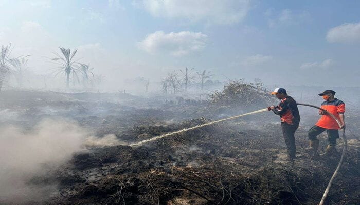 Dua petugas pemadam kebakaran hutan sedang menyemprotkan air untuk memadamkan kebakaran lahan gambut yang terbakar dan masih mengeluarkan asap tebal. Kondisi sekitar terlihat hangus dan penuh asap, dengan latar belakang pepohonan yang terbakar sebagian. Gambar ini menunjukkan upaya aktif dalam mengatasi kebakaran hutan dan lahan (karhutla).