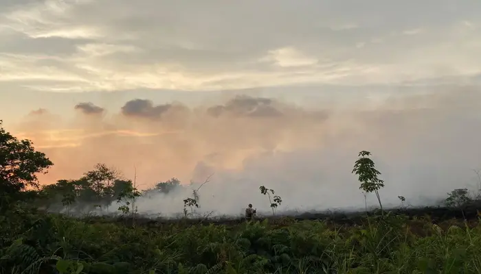 Kebakaran Lahan di Singkawang, Seorang petugas berdiri di tengah asap tebal akibat kebakaran lahan di Singkawang saat senja.