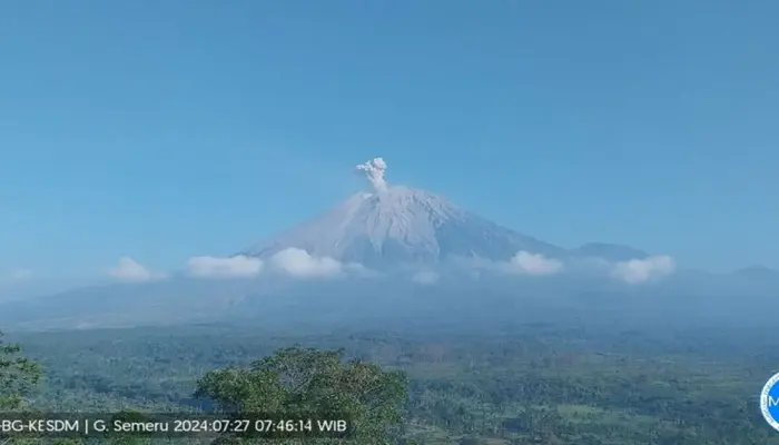 Gunung Semeru kembali erupsi dengan letusan setinggi 800 meter, Asap putih mengepul dari puncak Gunung Semeru yang sedang erupsi, difoto dari kejauhan dengan latar langit biru dan hamparan pepohonan hijau di kaki gunung.