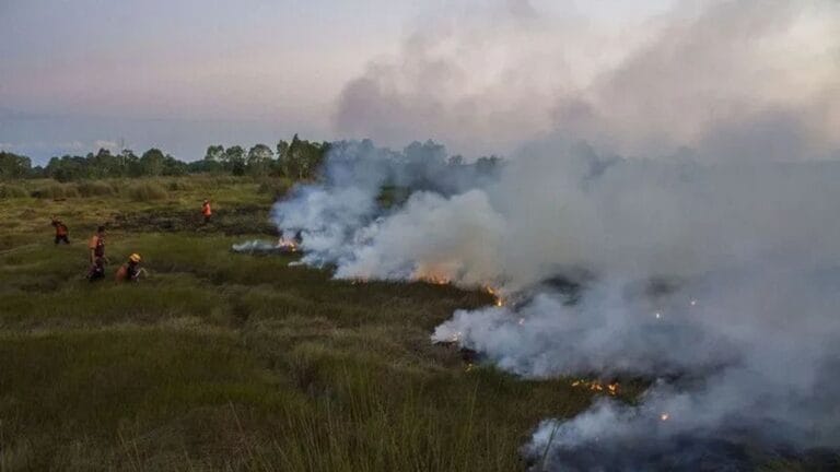 Karhutla Meluas di Simalungun, Petugas berupaya memadamkan kebakaran hutan dan lahan di Simalungun, Sumatera Utara, dengan asap tebal membubung di area sema.
