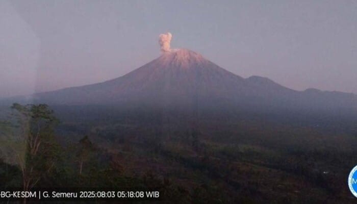 Empat Kali Erupsi di Pagi Hari, Semeru Kembali Bergejolak, Empat Kali Erupsi di Pagi Hari, Semeru Kembali Bergejolak